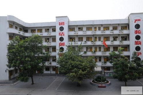 吴川小学爆料最新消息,揭秘校园热点事件背后的真相