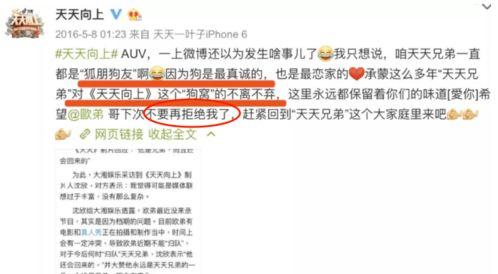 娱乐圈爆料找谁投稿,揭秘明星幕后故事